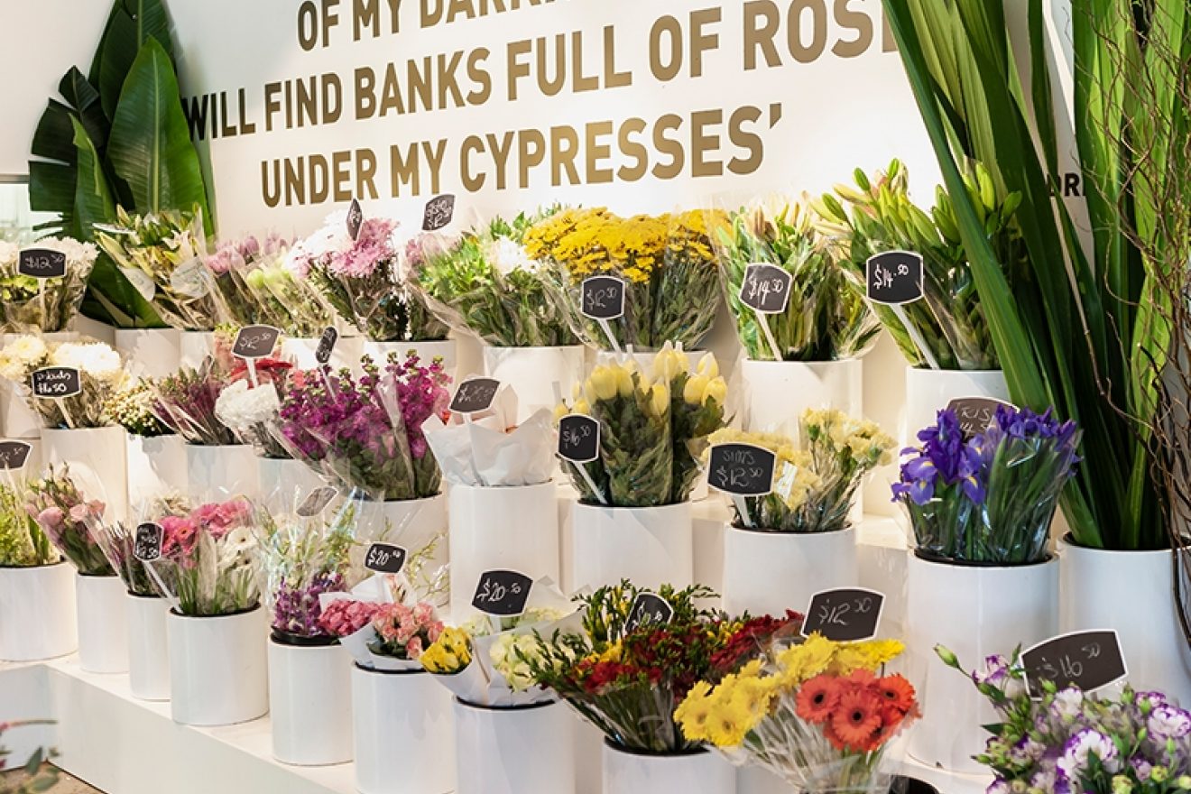 Flowers and their meaning – one for every occasion