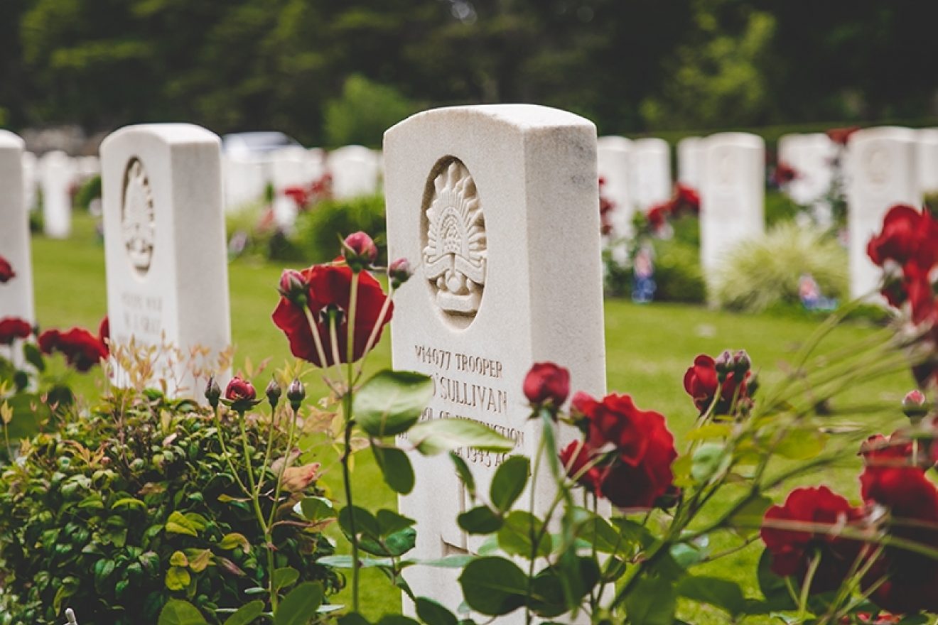 A photograph of war graves at the Springvale Botanical Cemetery, against a backdrop of lush green lawns and green foliage. Red poppies surround the graves in the foreground.