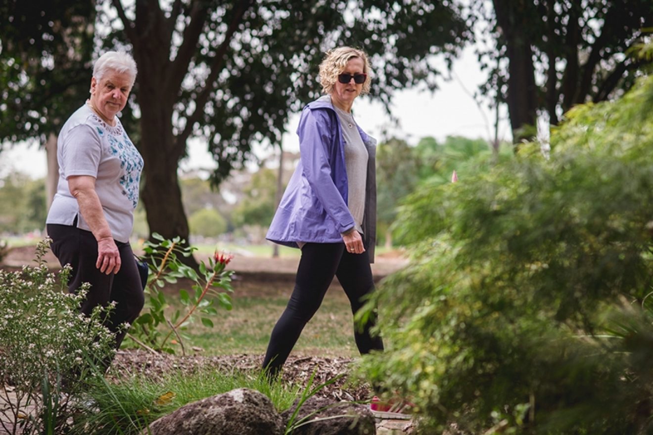 Wander and Wonder – National Walking Day 2020