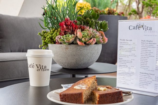 Discover Café Vita