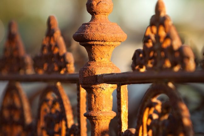 Explore Dandenong Grounds