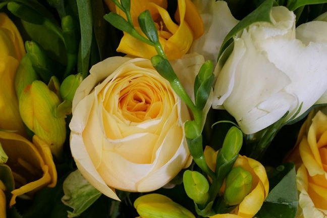 Flowers from Café Vita et flores
