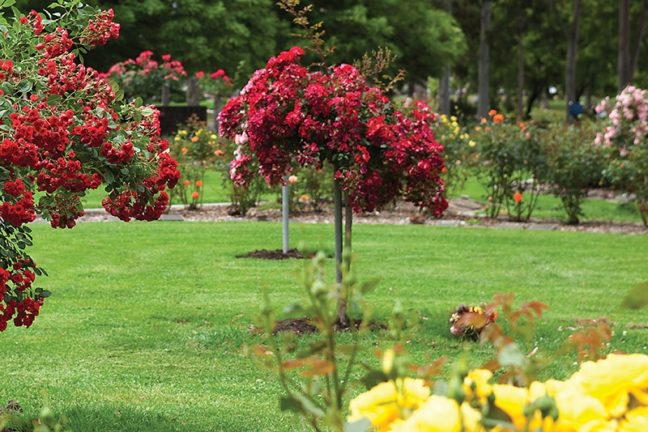 Springvale Botanical Cemetery
