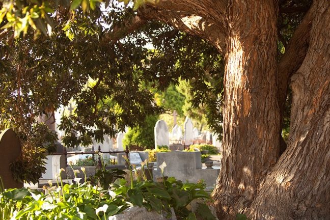 St Kilda Cemetery