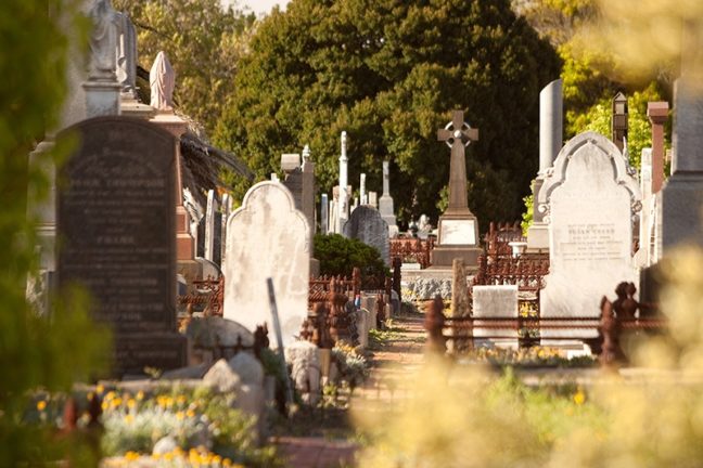 Explore St Kilda Cemetery Grounds