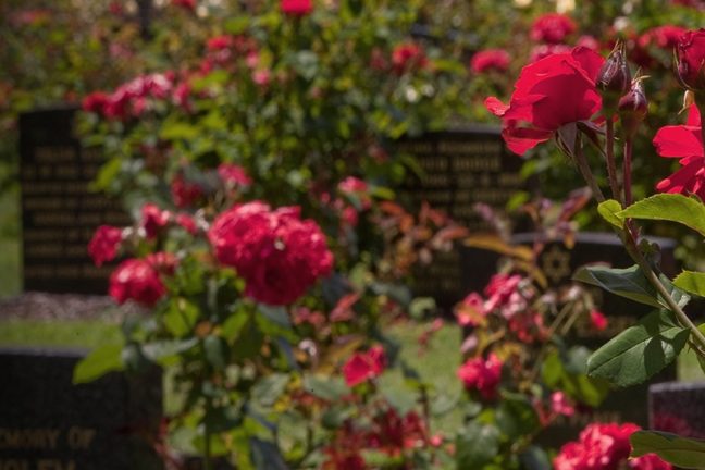 Jewish Headstone Lawn Grave