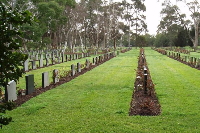 Jewish Memorial Gardens Tree Position