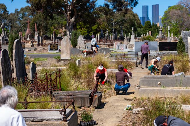 Melbourne General Cemetery Planting Day