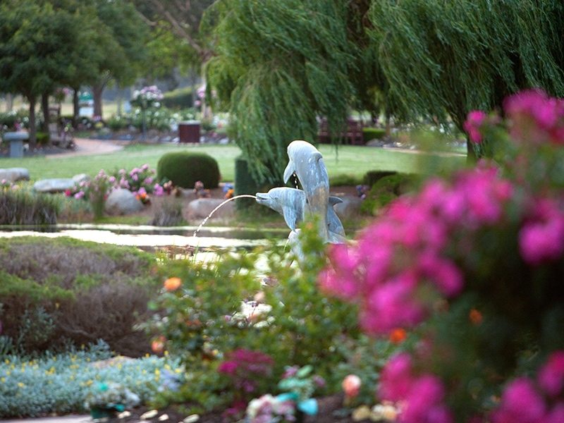 Genesis Garden