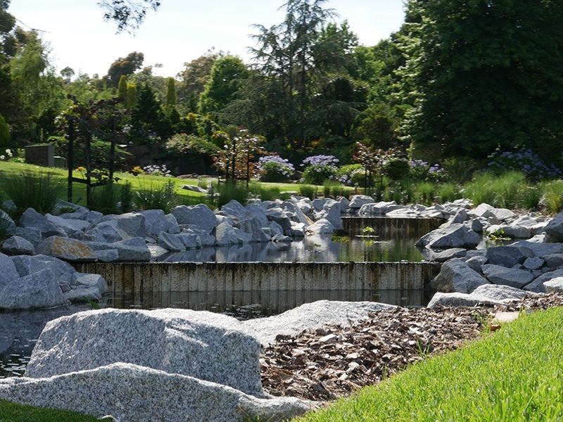 Lotus Garden at Springvale Botanical Cemetery