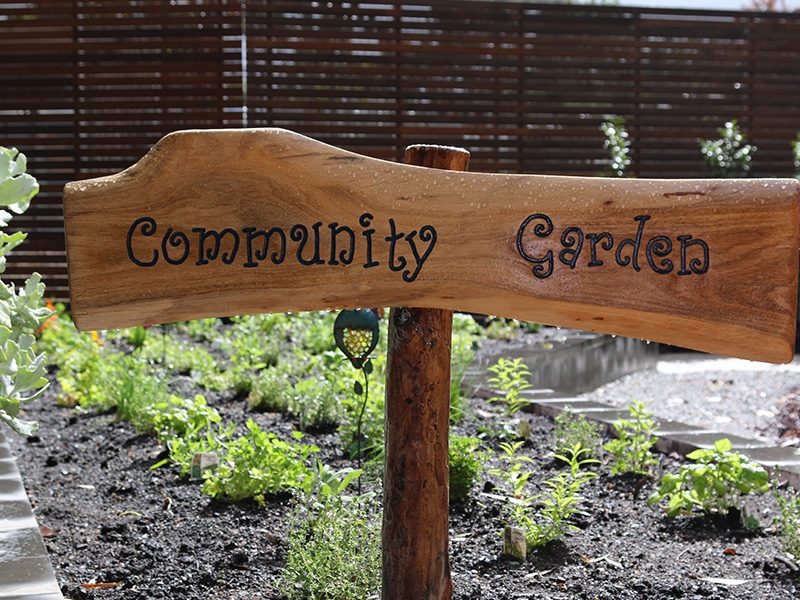 Springvale Botanical Cemetery - Community Garden