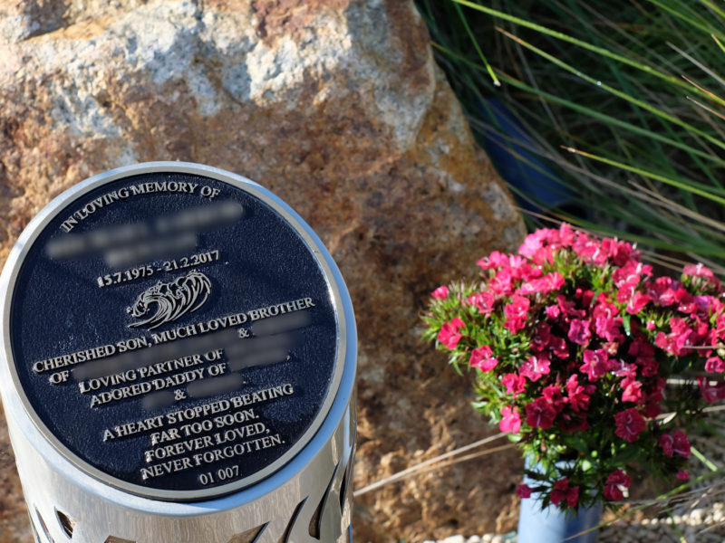 Plaque Options