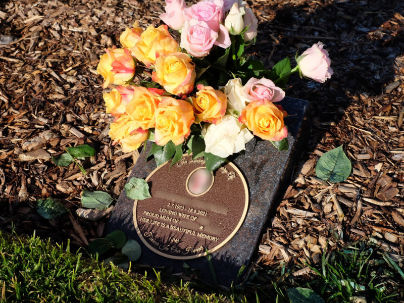 Plaque Options