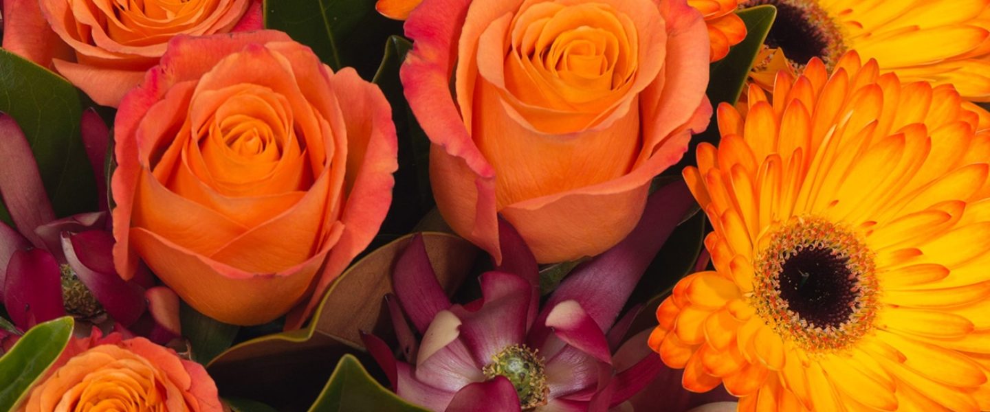 Floral and Memento Guidelines Contact