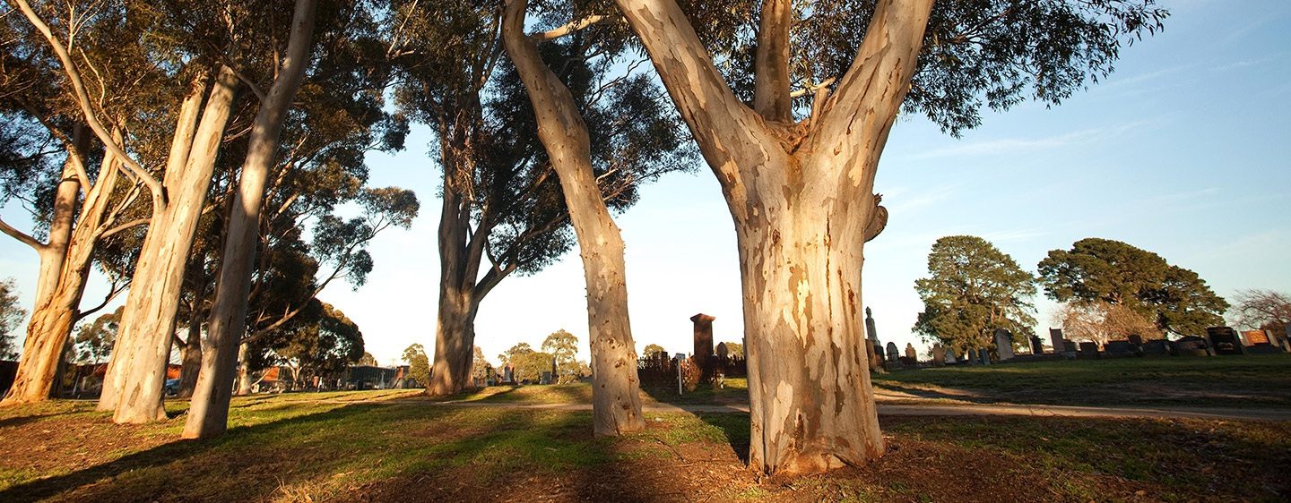 Dandenong Community Cemetery