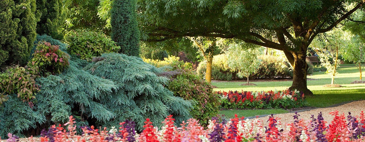 Our Services at Springvale Botanical Cemetery