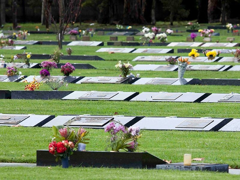 Lawn Graves