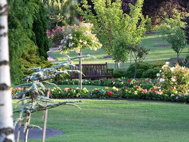 Seat Positions - Springvale Botanical Cemetery