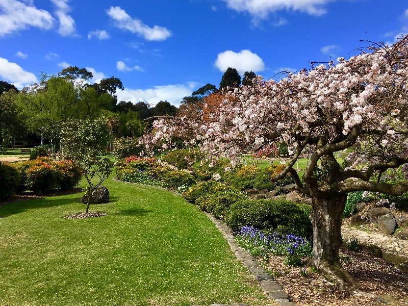 Garden of No Distant Place - Springvale Botanical Cemetery