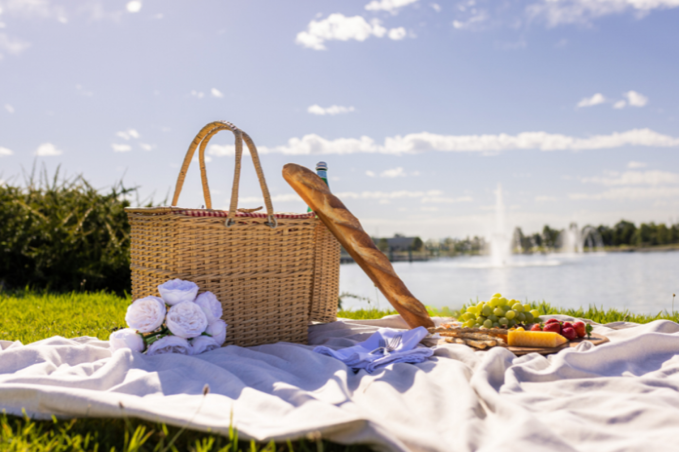 white picnic blanket with woven basket, a baguette, a soread with cheese and grapes overlooking a lake view