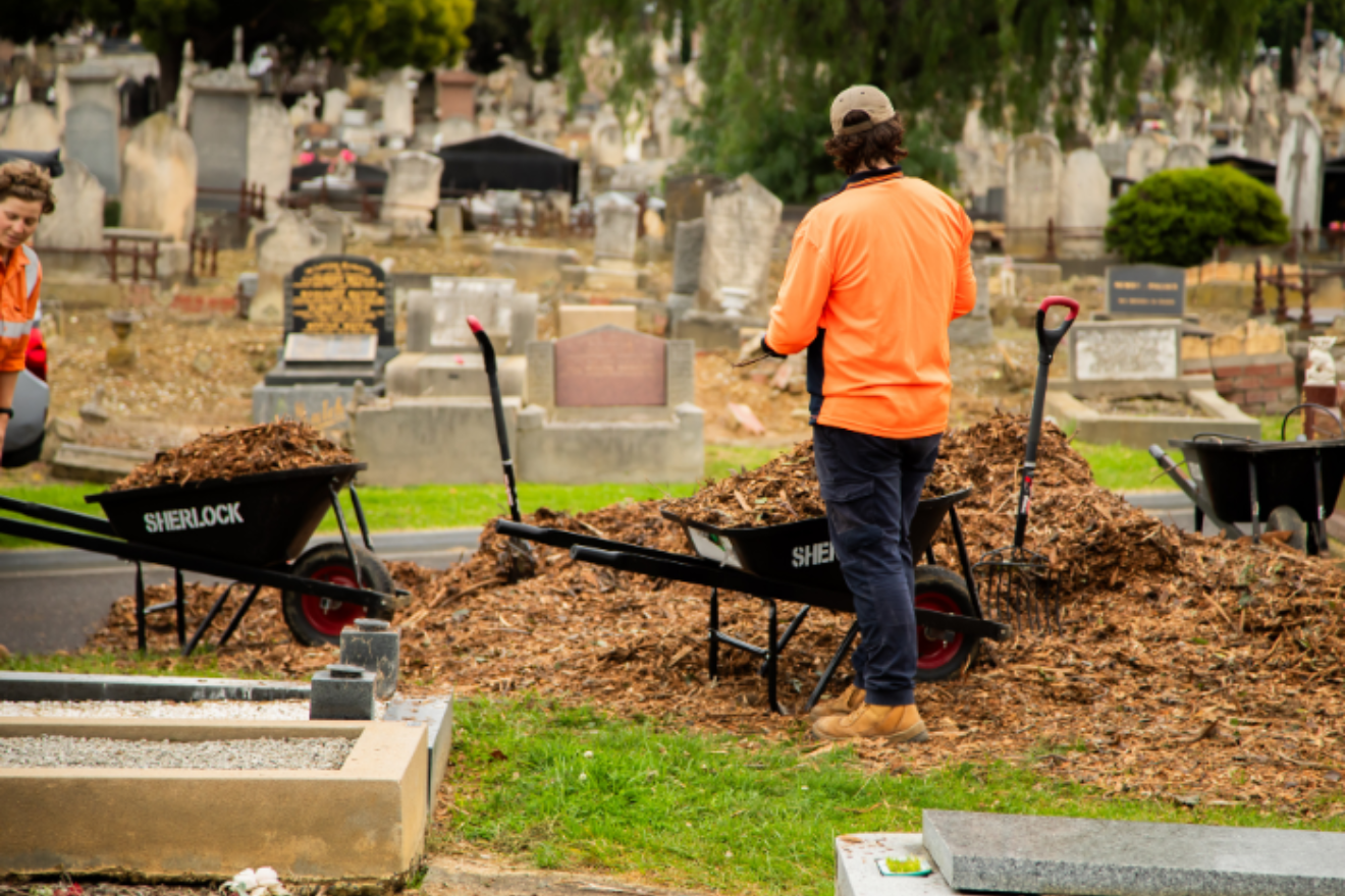 A person in a hi-vis orange shirt stands in front of a large pile of mulch. Two wheelbarrows are already filled with mulch, and another worker in moving into frame on the far left. Gravestones can been seen in the background.