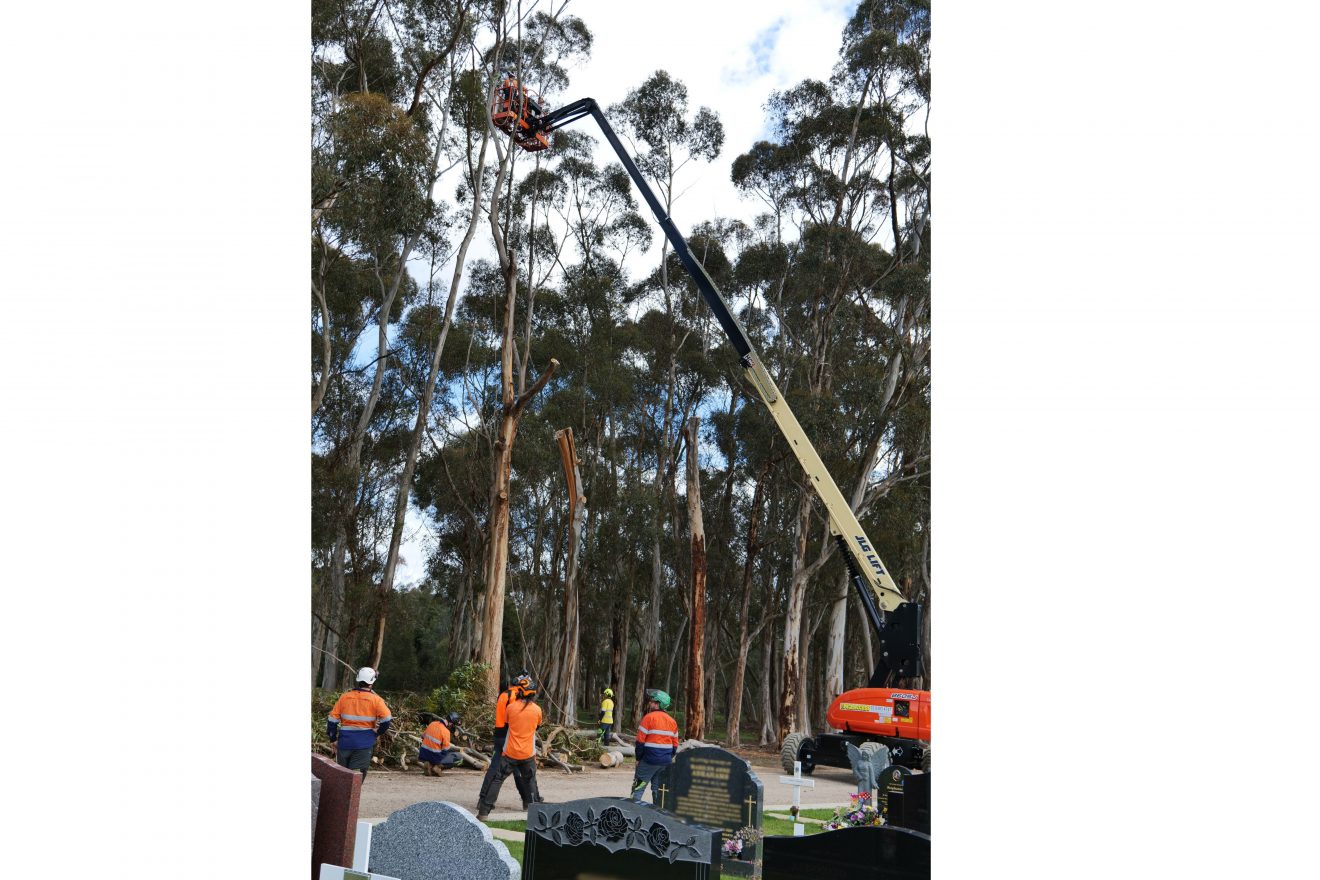 A team of arborists wearing high-vis shirts working on a tree.